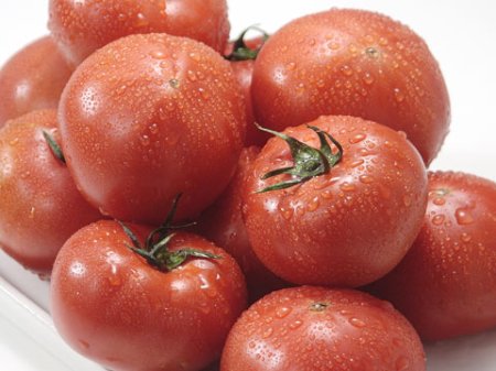 tomato-momotaro
