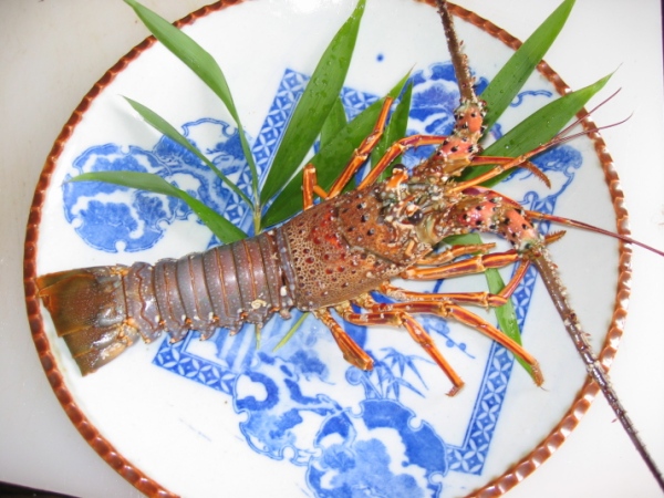 Lobster: Basic Sashimi Preparation/Langouste : PRéparation standard de sashimi
