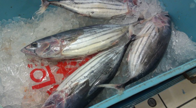 More Seafood and Fish At Parche Supermarket in Shizuoka City: With new Bonito/Katsuo!